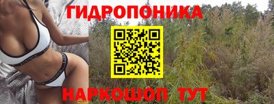 ECSTASY Бугуруслан