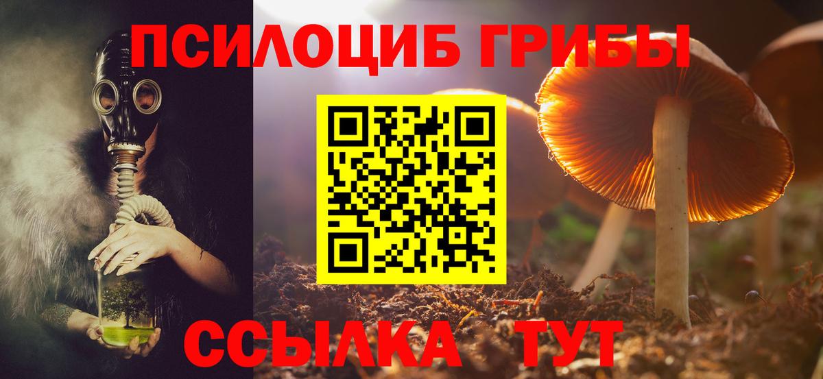 Тихвин  Псилоцибиновые грибы Psilocybe  Вход с VPN  купить наркотики цена  Галлюциногенные грибы MAGIC MUSHROOMS 